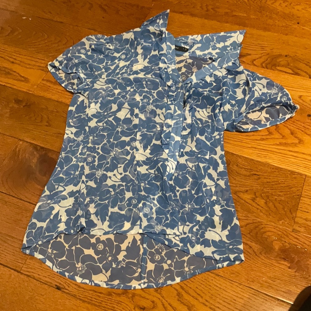 The Limited Brand sheer blouse!
